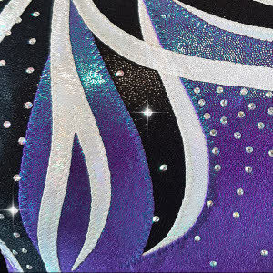 blauwe_turnpakjes_glans_glitter_steentjes_paars_blauw_turnkleding_gympakjes_nightlake_fairysports